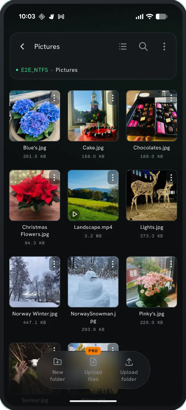 Browsing photos and videos on an NTFS USB drive as a thumbnail grid in NTFS Reader.